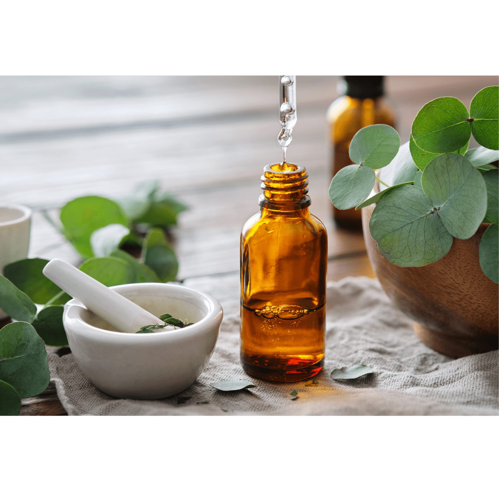 huile essentielle eucalyptus citronné propriétés anti-inflammatoires